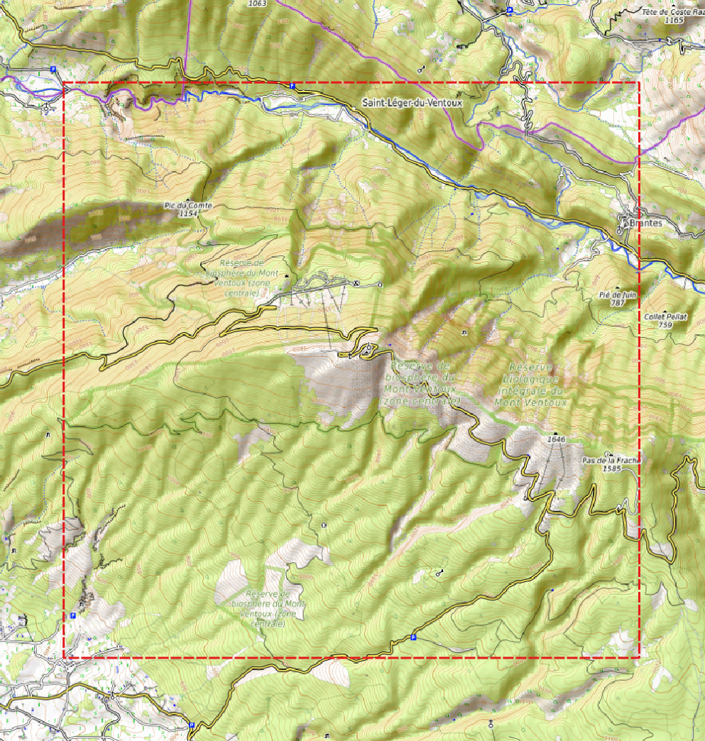 Relief "Oak" Mont Ventoux