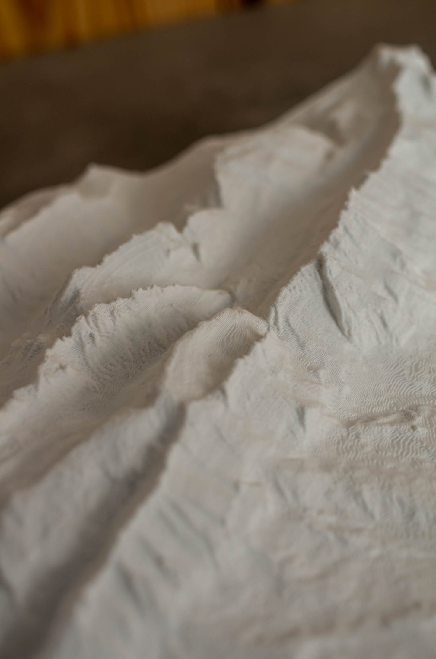 Relief "Oak" Säntis