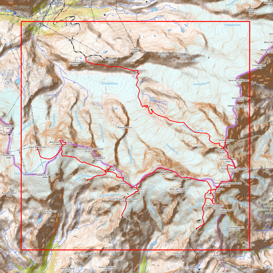 Relief "Chêne" Kilimandjaro