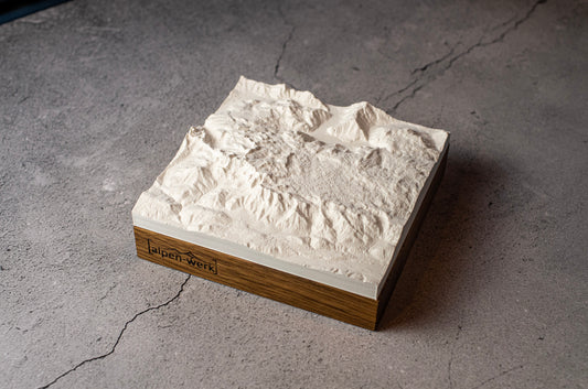 Relief "Chêne" massif du Dachstein