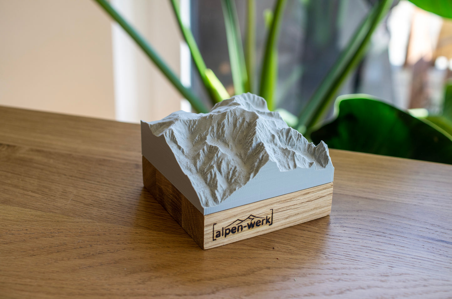 Relief "Oak" Mont Blanc