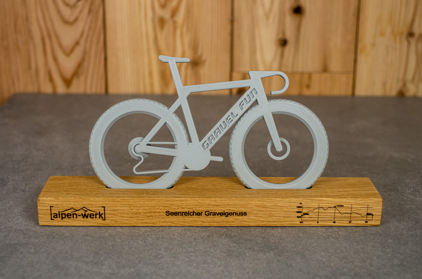 Bicycle "Gravel Fun"