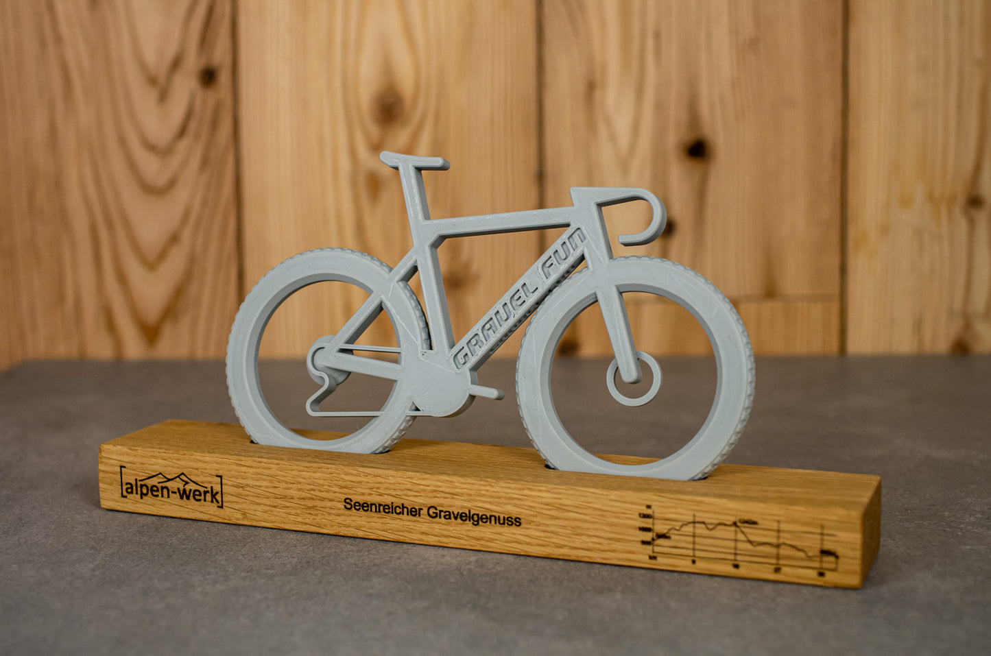 Bicycle "Gravel Fun"