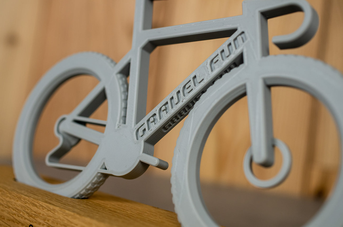 Bicycle "Gravel Fun"