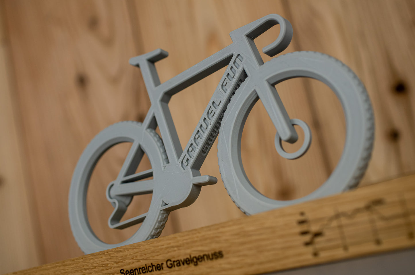 Bicycle "Gravel Fun"