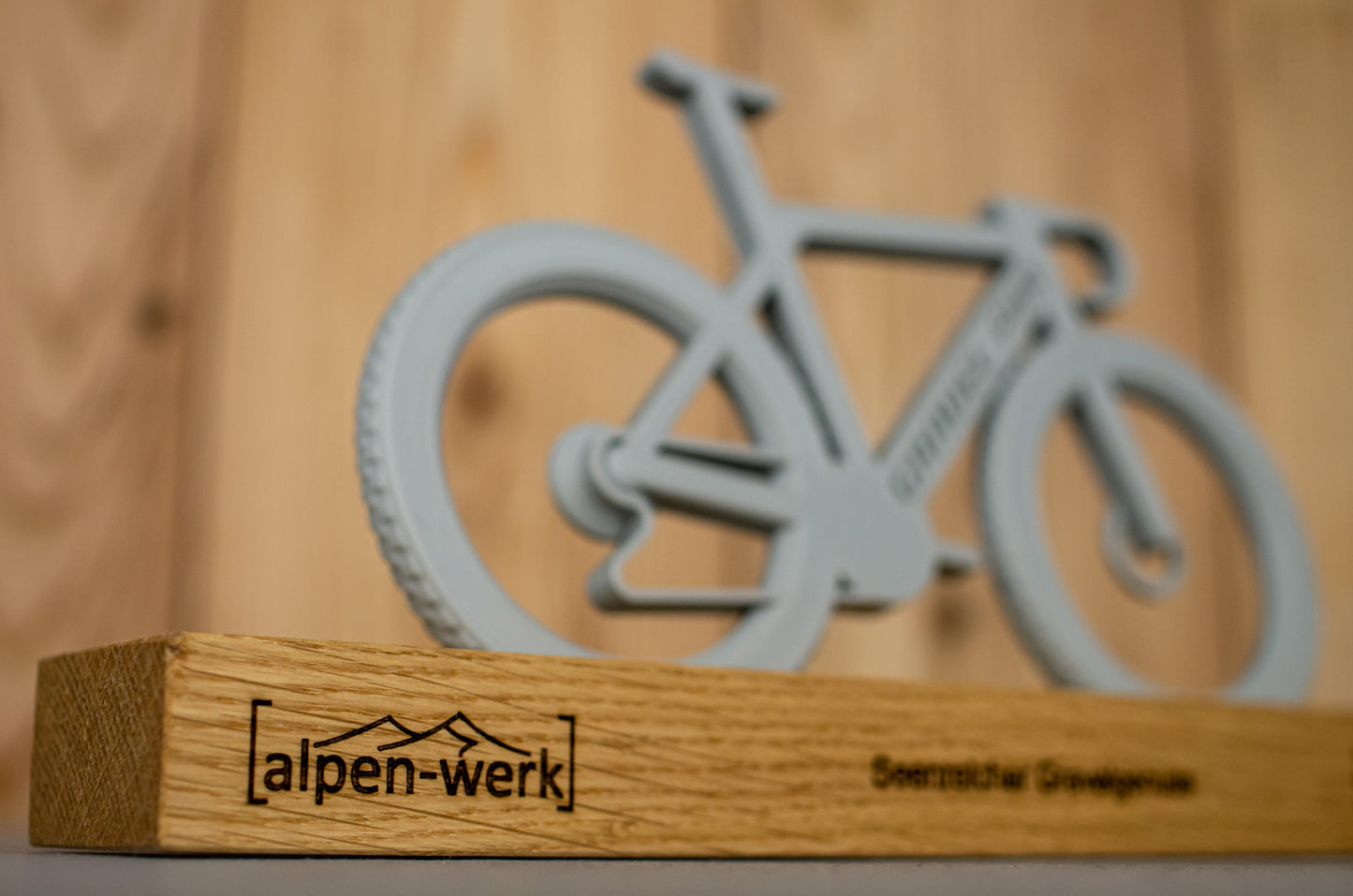 Bicycle "Gravel Fun"