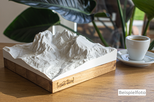 Relief "Chêne" Dôme de Rochefort