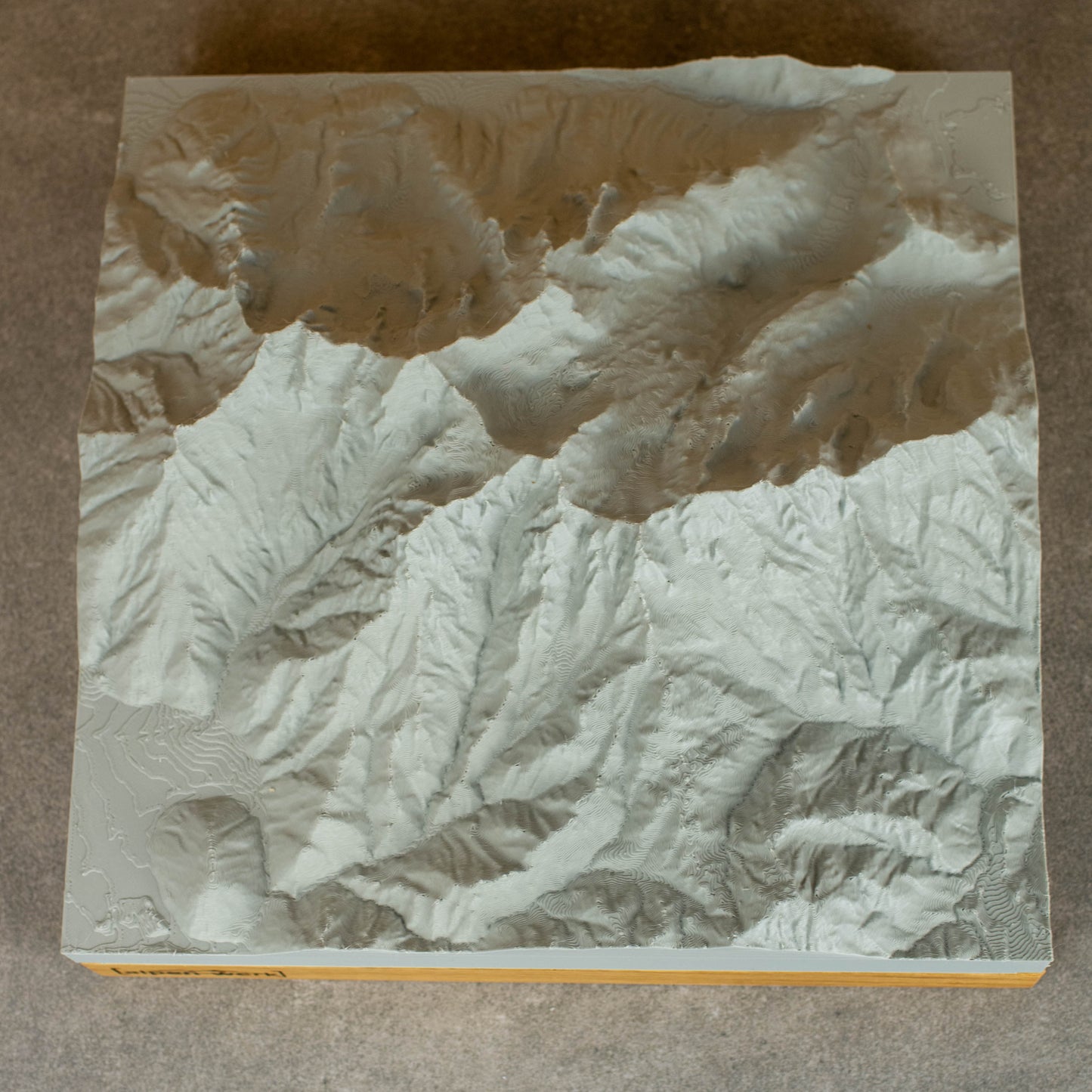 Relief "Chêne" Loferer Steinberge