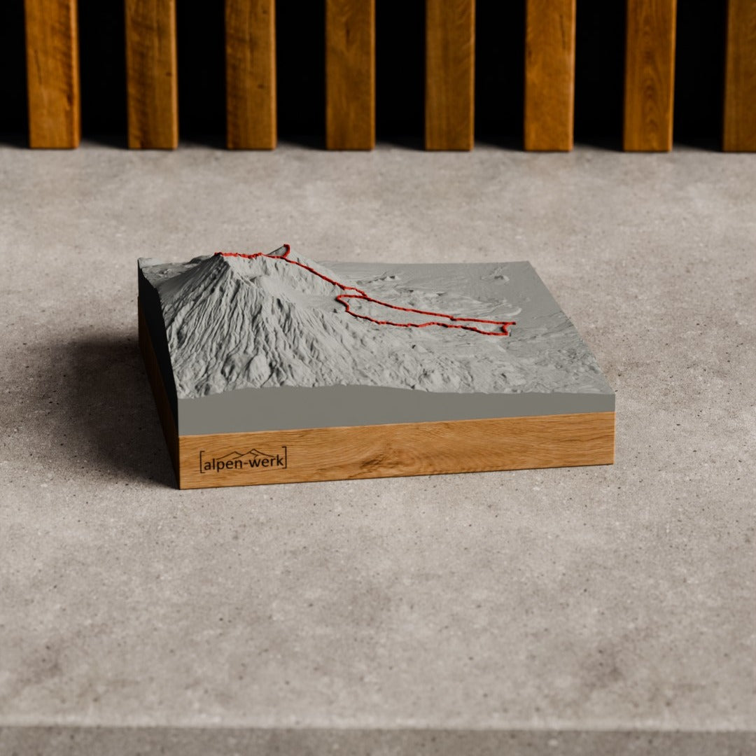 Bergrelief Track | Mount Meru