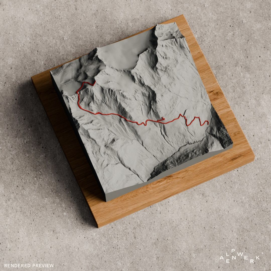 Bergrelief Track | Wildspitze Normalweg