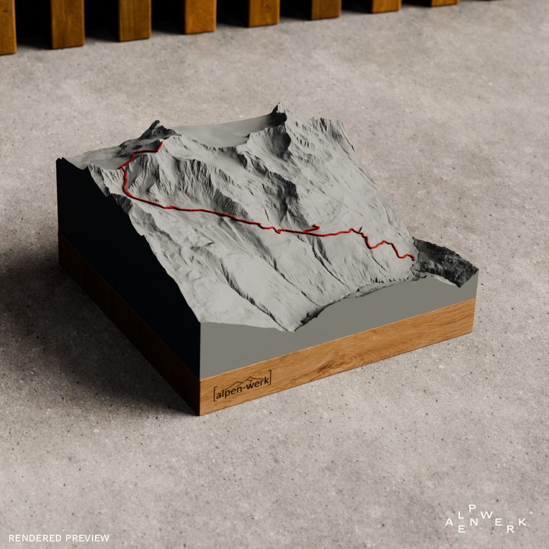 Bergrelief Track | Wildspitze Normalweg