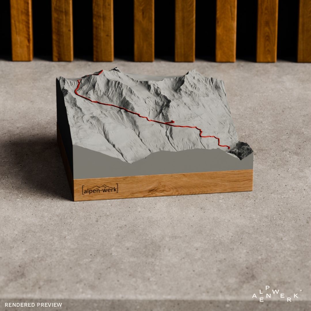 Bergrelief Track | Wildspitze Normalweg