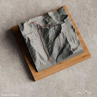 Bergrelief Track | Similaun ueber Similaunhuette