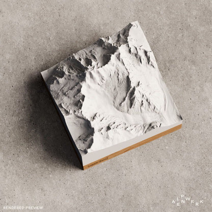 Relief « Chêne » Grandes Jorasses