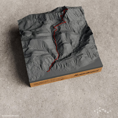 Bergrelief Track | Hochfellnberglauf | 2026
