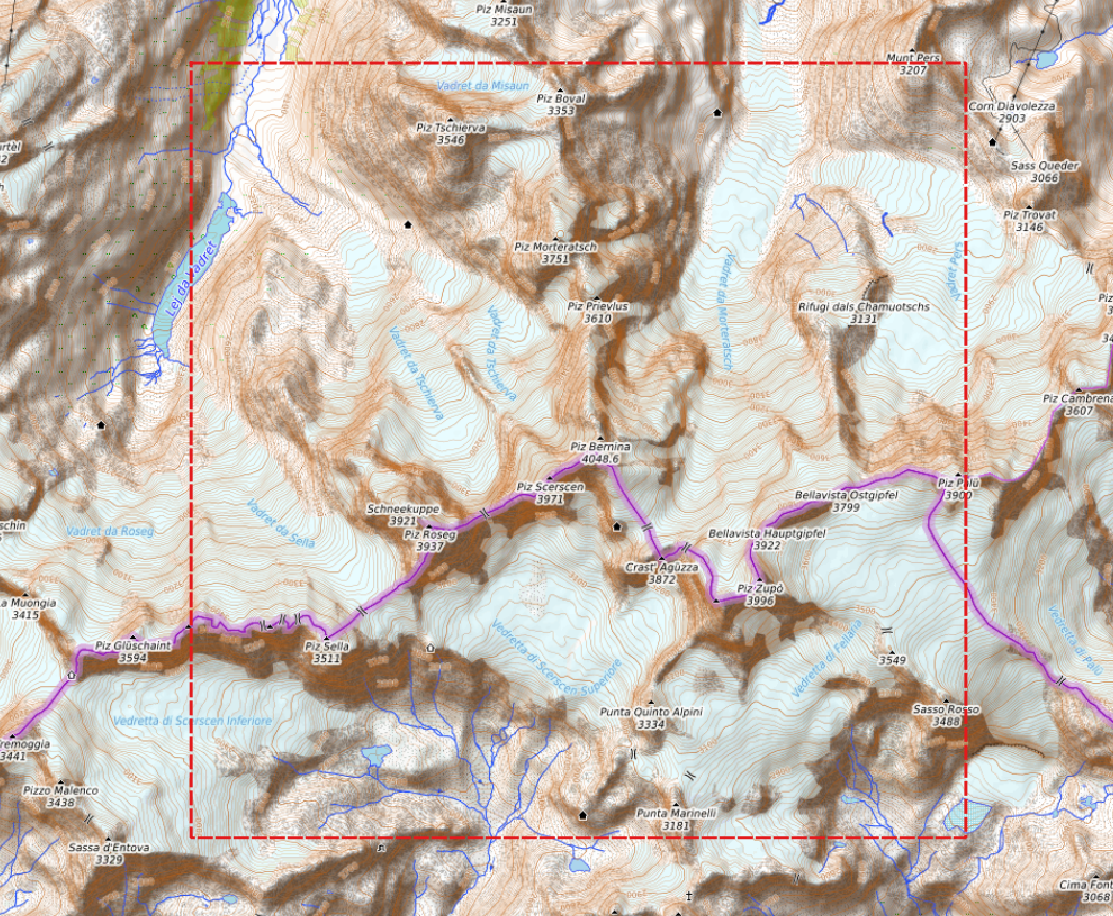 Relief "Chêne" Piz Bernina