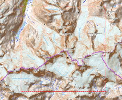 Relief "Chêne" Piz Bernina