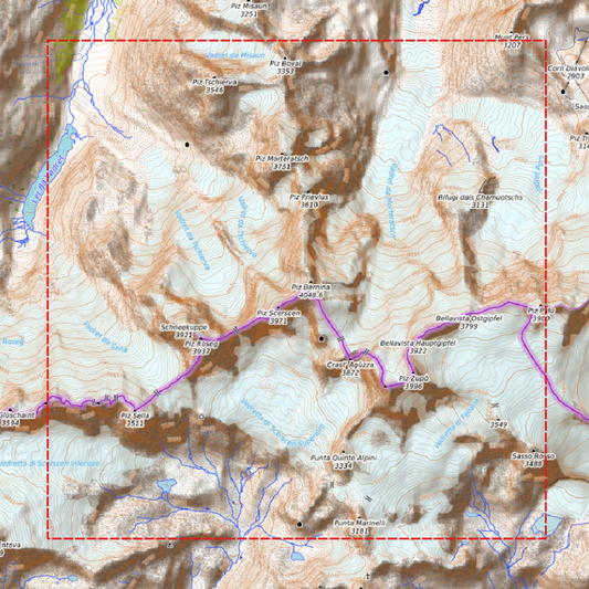 Relief « Chêne » Piz Bernina