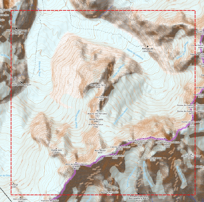 Relief "Chêne" Grandes Jorasses