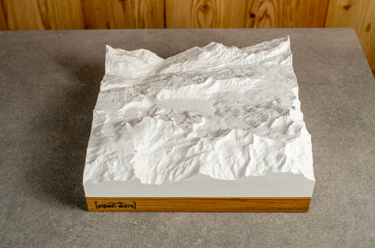 Relief « Chêne » Traversée du Monte Rosa