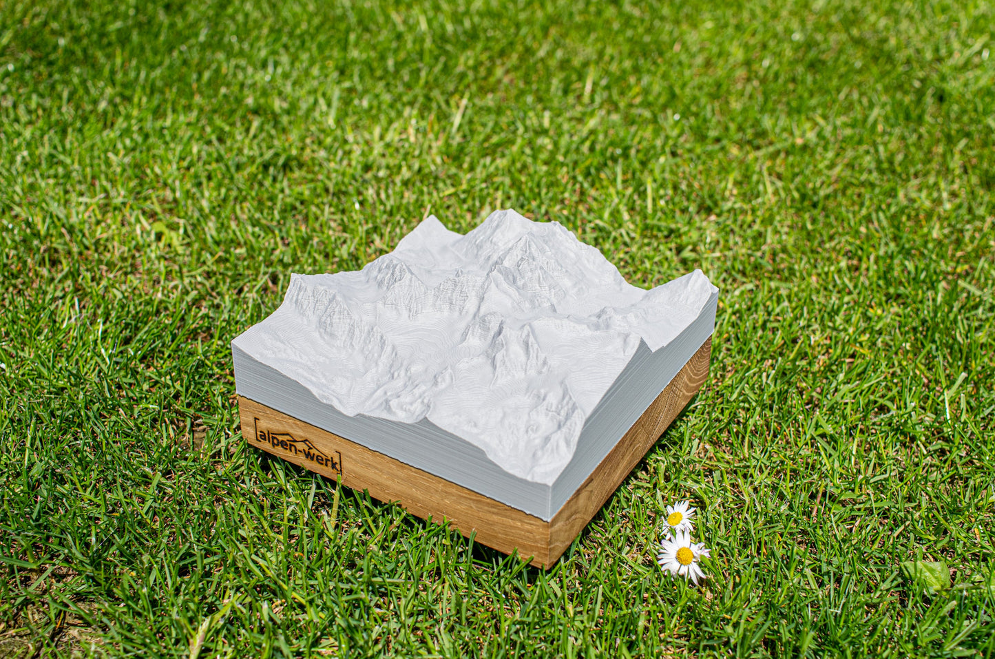 Relief "Chêne" Piz Bernina